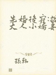 先婚后宠:总裁大人小娇妻小说封面