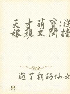 天才萌宝:逆天娘亲又开挂了小说封面