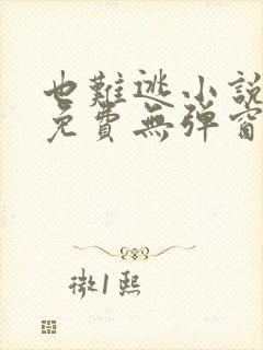 也难逃小说全文免费无弹窗封面