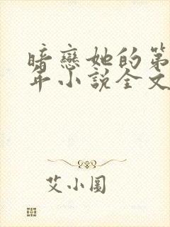 暗恋她的第十一年小说全文封面
