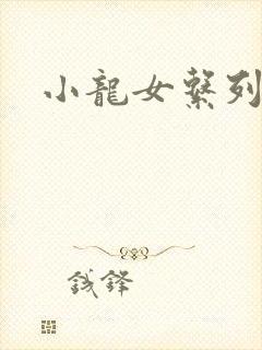 小龙女系列小说