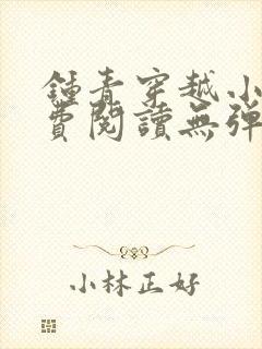 钟青穿越小说免费阅读无弹窗封面