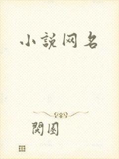 小说网名