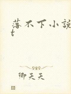 落不下小说txt