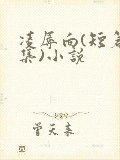 凌辱向(短篇合集)小说