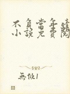 不负当年晴时雨小说免费阅读笔趣阁封面
