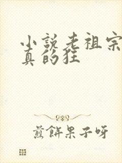 小说老祖宗她是真的狂封面