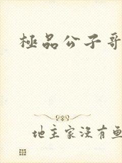 极品公子哥