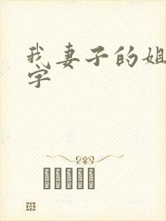 我妻子的姐姐中字