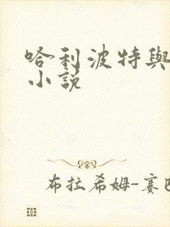 哈利波特与密室小说