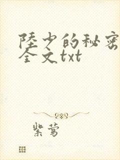 陆少的秘密恋人全文txt