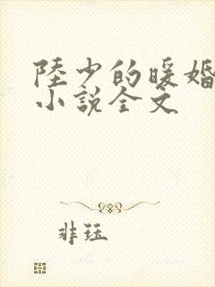陆少的暖婚新妻小说全文