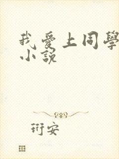 我爱上同学妈妈小说