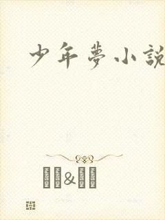 少年梦小说