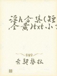 淫h合集(短篇,全黄)txt小说