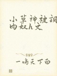 小草神被调教成肉奴h文