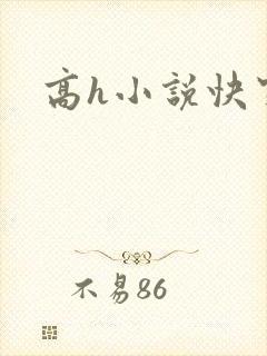 高h小说快穿