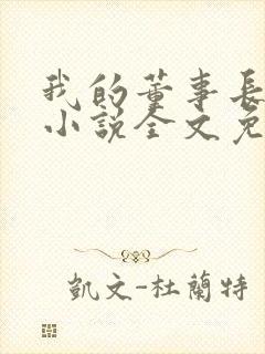 我的董事长老婆小说全文免费阅读封面