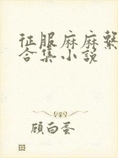 征服麻麻系列大合集小说