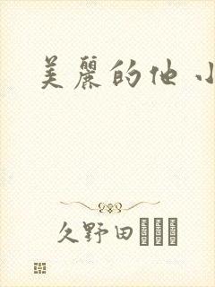 美丽的他 小说