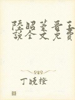 陆昭菱晋王的小说全文免费阅读