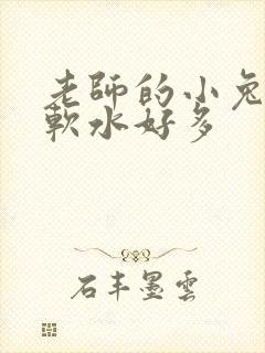 老师的小兔子好软水好多