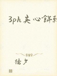 3ph夹心饼干