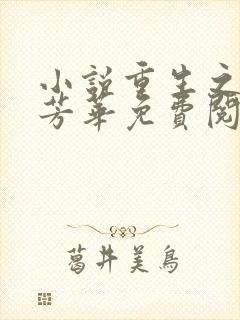 小说重生之再许芳华免费阅读