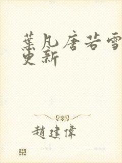 叶凡唐若雪王婿更新