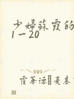 少妇苏霞的沉沦1一20