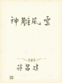 神雕风云