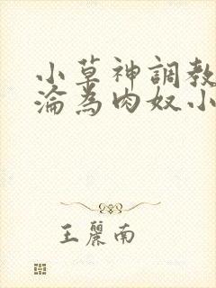 小草神调教喷水沦为肉奴小说