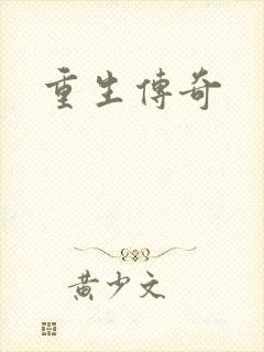 重生传奇封面