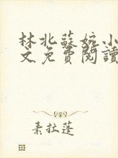 林北苏婉小说全文免费阅读最新
