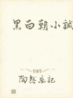 黑白朝小诚