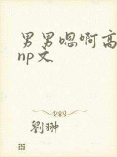 男男嗯啊高h黄np文