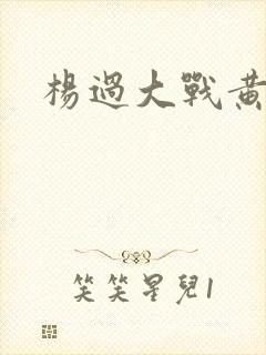 杨过大战黄蓉