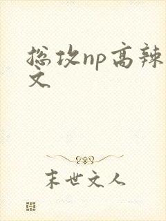 总攻np高辣h文