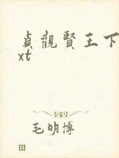 贞观贤王下载txt