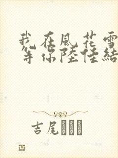 我在风花雪月里等你陆佳结局