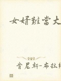 女婿难当大结局封面