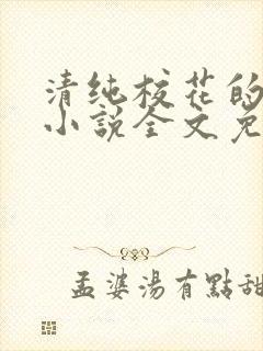 清纯校花的堕落小说全文免费阅读