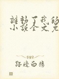 谁动了我的老婆小说全文免费阅读一