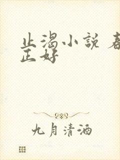 止渴小说 春光正好