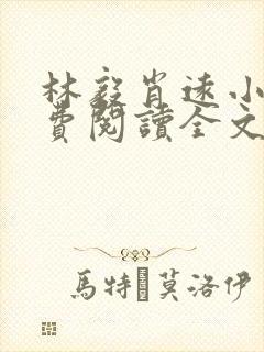 林毅肖远小说免费阅读全文最新章节封面