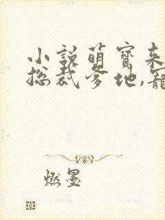 小说萌宝来袭:总裁爹地,宠上天