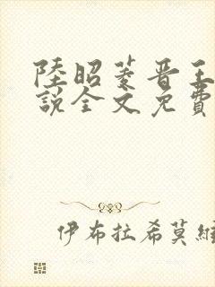 陆昭菱晋王的小说全文免费阅读