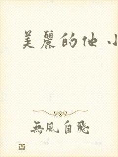 美丽的他 小说