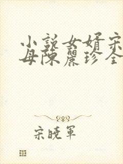 小说女婿宋阳岳母陈丽珍全文阅读
