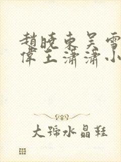 赵晓东吴雪晴郑伟王潇潇小说